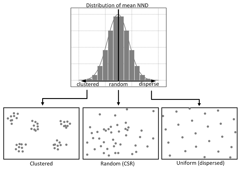 Relations between different point patterns and mean nearest neighbor distance (NND). Source: [Yuan *et al.* 2020](https://gistbok.ucgis.org/bok-topics/point-pattern-analysis).