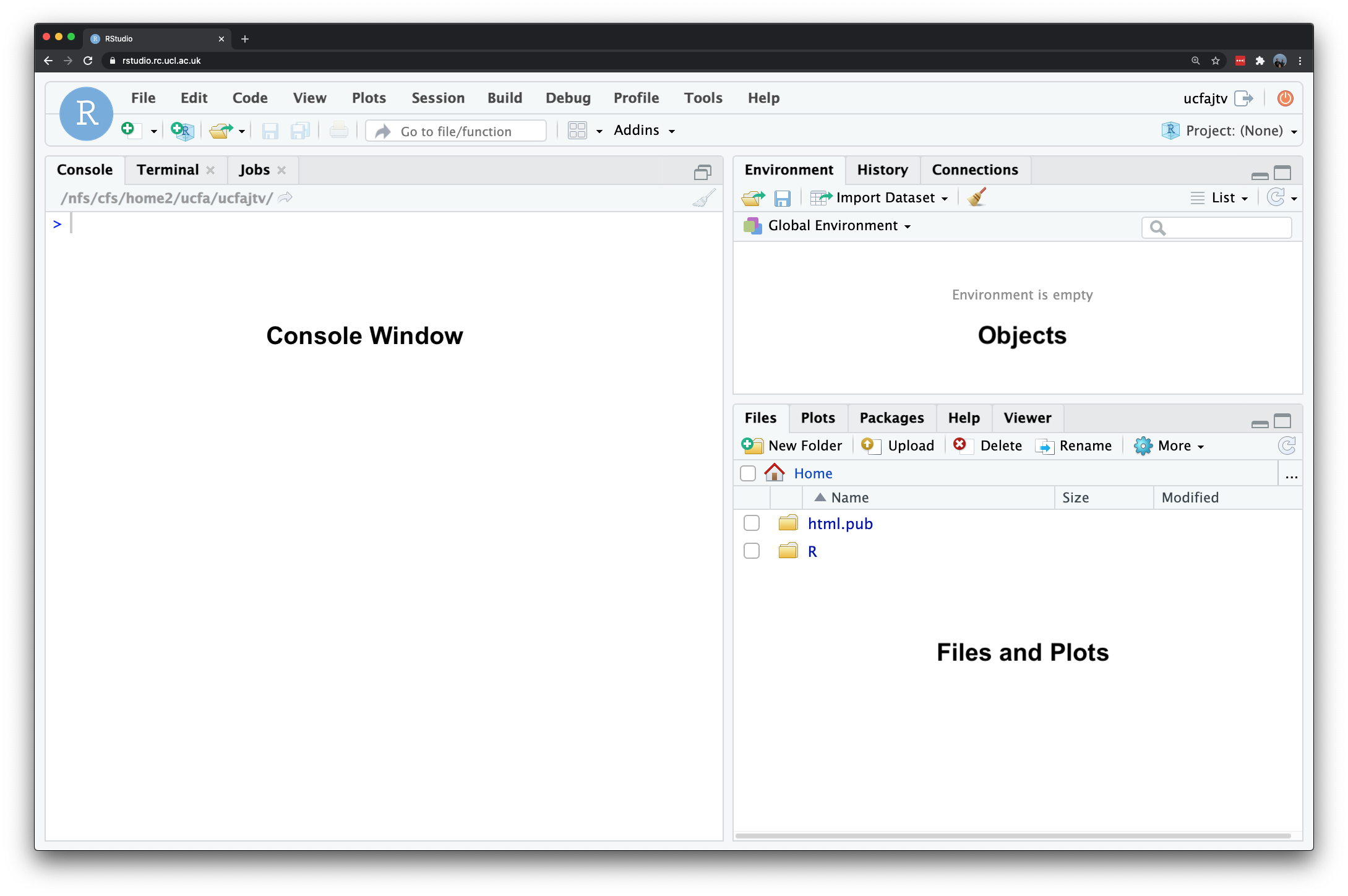 The RStudio Server interface.